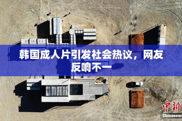韩国成人片引发社会热议，网友反响不一