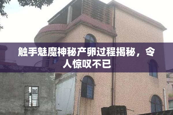 触手魅魔神秘产卵过程揭秘，令人惊叹不已