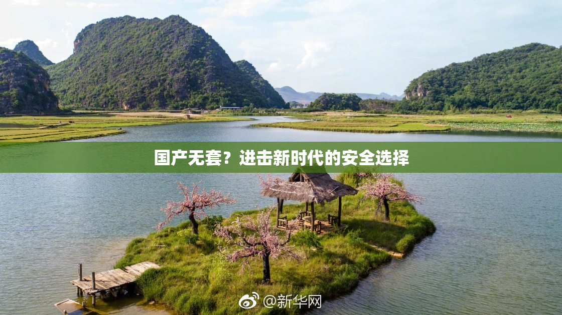国产无套？进击新时代的安全选择