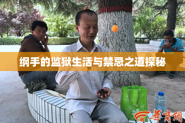 纲手的监狱生活与禁忌之道探秘