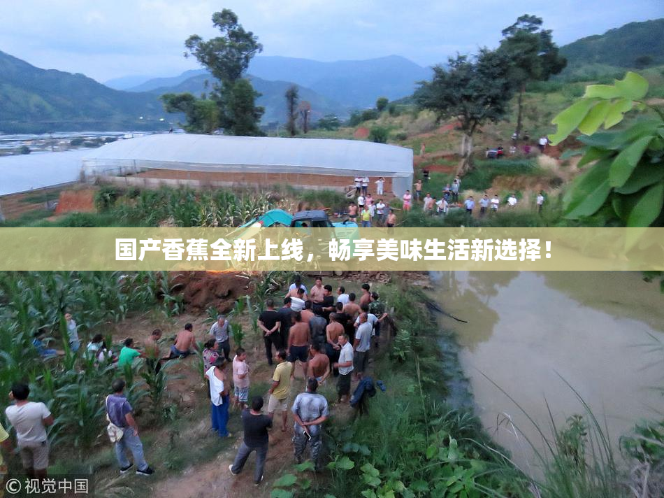 国产香蕉全新上线，畅享美味生活新选择！