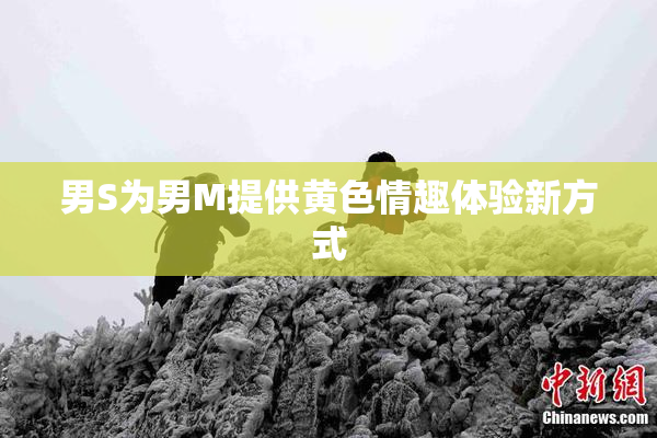 男S为男M提供黄色情趣体验新方式