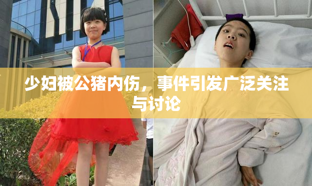 少妇被公猪内伤，事件引发广泛关注与讨论