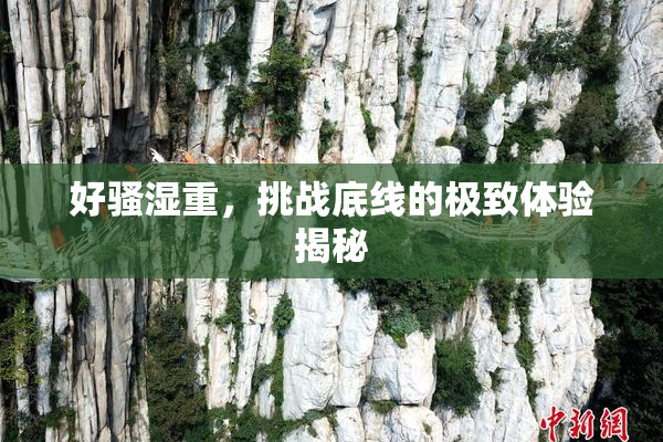 好骚湿重，挑战底线的极致体验揭秘