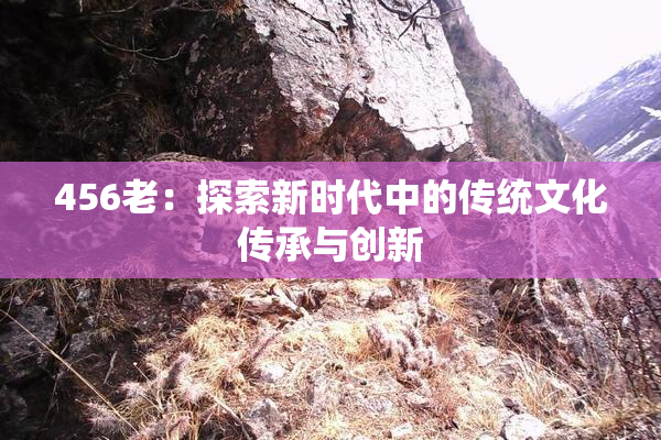 456老：探索新时代中的传统文化传承与创新