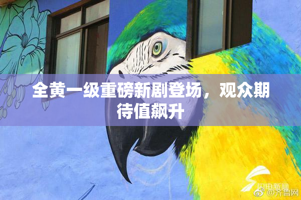 全黄一级重磅新剧登场，观众期待值飙升