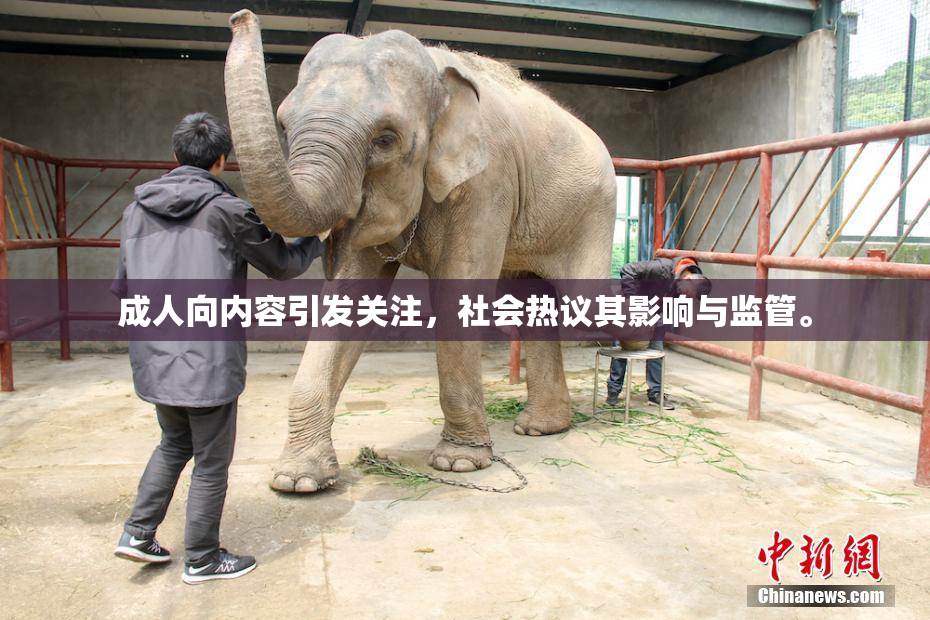 成人向内容引发关注，社会热议其影响与监管。