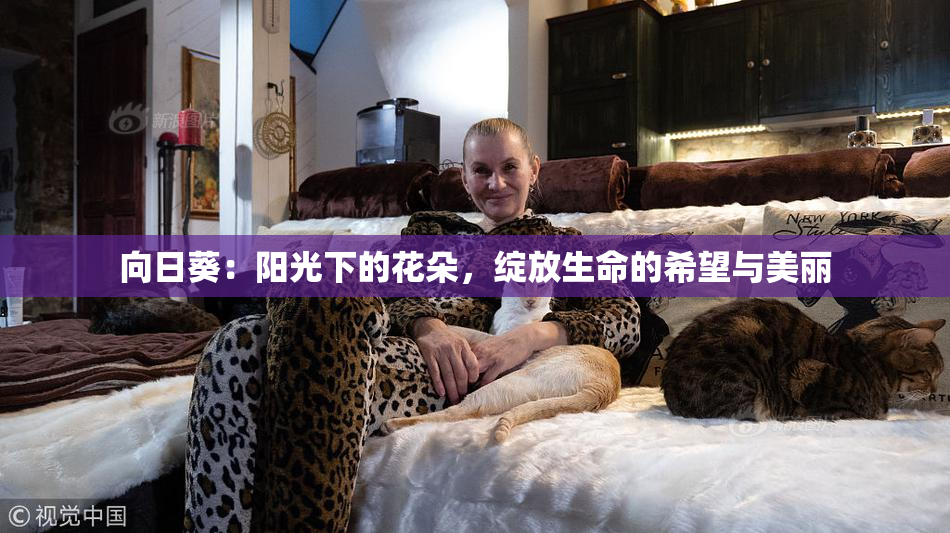 向日葵：阳光下的花朵，绽放生命的希望与美丽