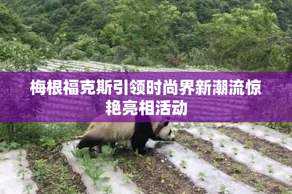梅根福克斯引领时尚界新潮流惊艳亮相活动
