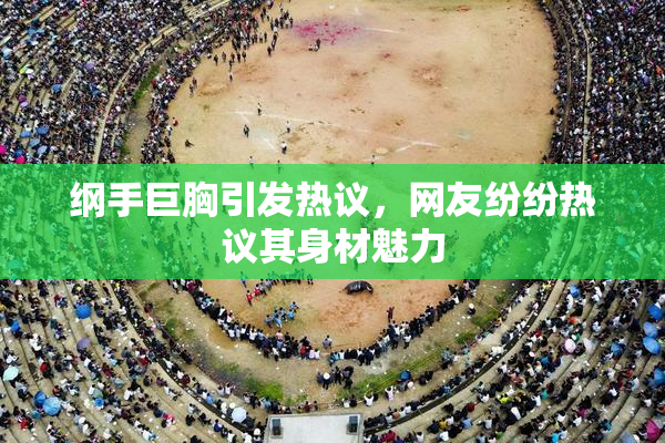 纲手巨胸引发热议，网友纷纷热议其身材魅力