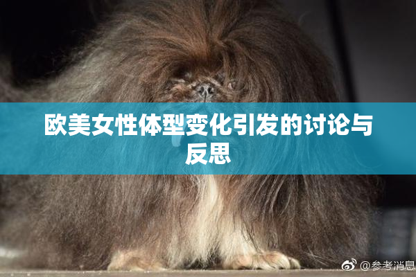 欧美女性体型变化引发的讨论与反思