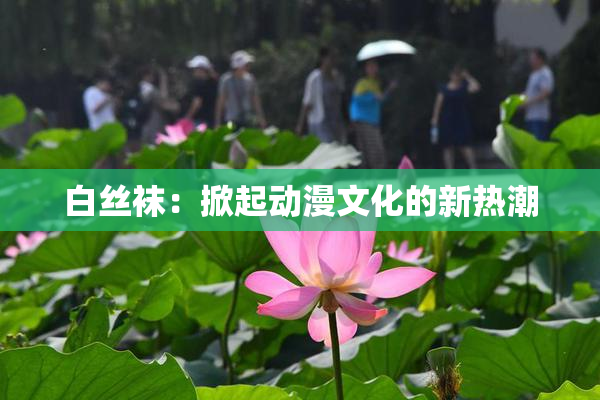 白丝袜：掀起动漫文化的新热潮