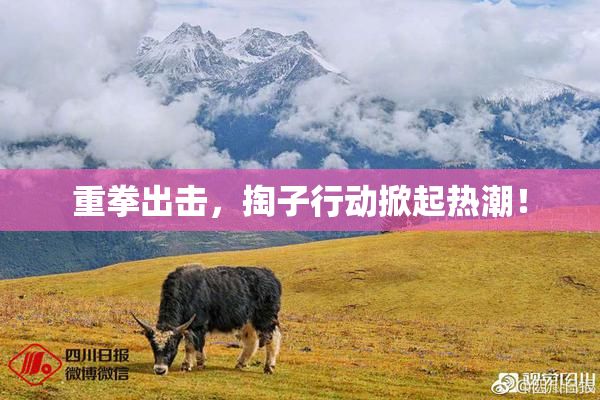 重拳出击，掏子行动掀起热潮！