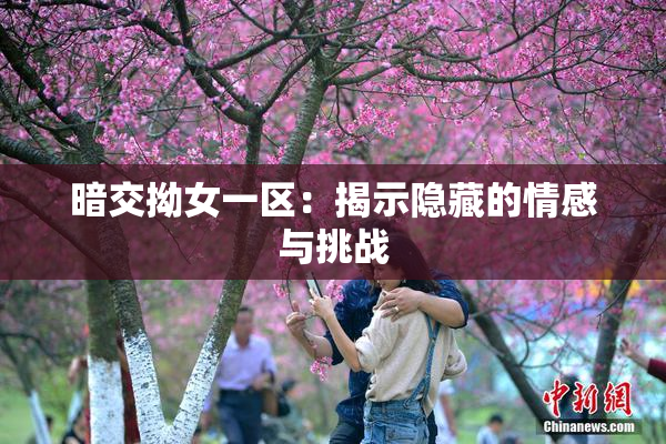 暗交拗女一区：揭示隐藏的情感与挑战