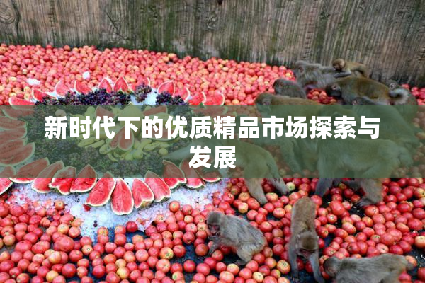 新时代下的优质精品市场探索与发展