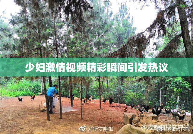 少妇激情视频精彩瞬间引发热议
