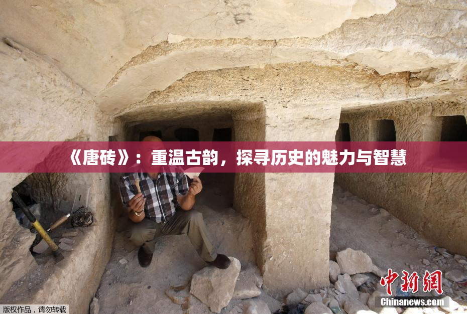 《唐砖》：重温古韵，探寻历史的魅力与智慧