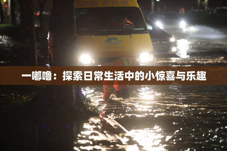 一嘟噜：探索日常生活中的小惊喜与乐趣