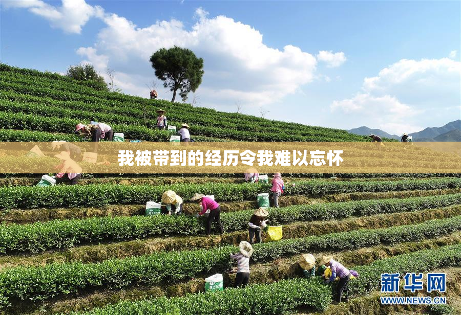 我被带到的经历令我难以忘怀