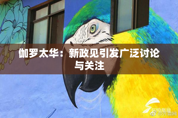 伽罗太华：新政见引发广泛讨论与关注
