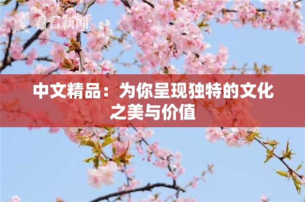 中文精品：为你呈现独特的文化之美与价值