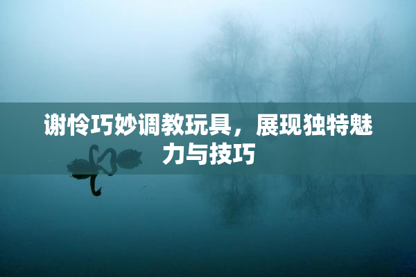 谢怜巧妙调教玩具，展现独特魅力与技巧