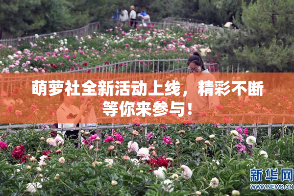 萌萝社全新活动上线，精彩不断等你来参与！