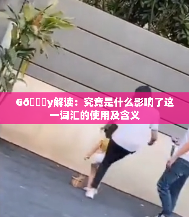 G🈚y解读：究竟是什么影响了这一词汇的使用及含义