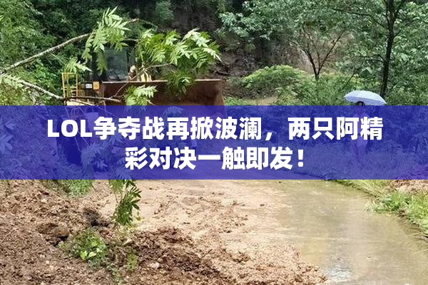 LOL争夺战再掀波澜，两只阿精彩对决一触即发！