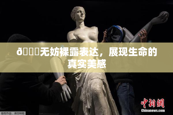 🔞无妨裸露表达，展现生命的真实美感