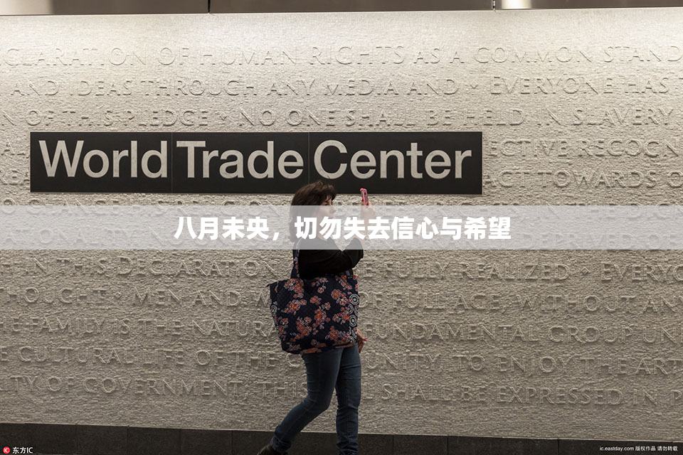 八月未央，切勿失去信心与希望
