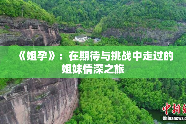 《姐孕》：在期待与挑战中走过的姐妹情深之旅