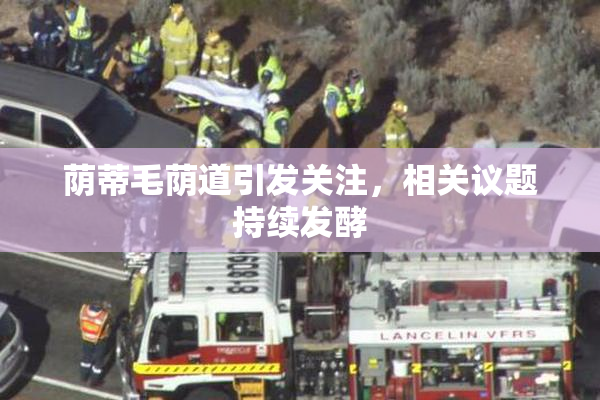 荫蒂毛荫道引发关注，相关议题持续发酵