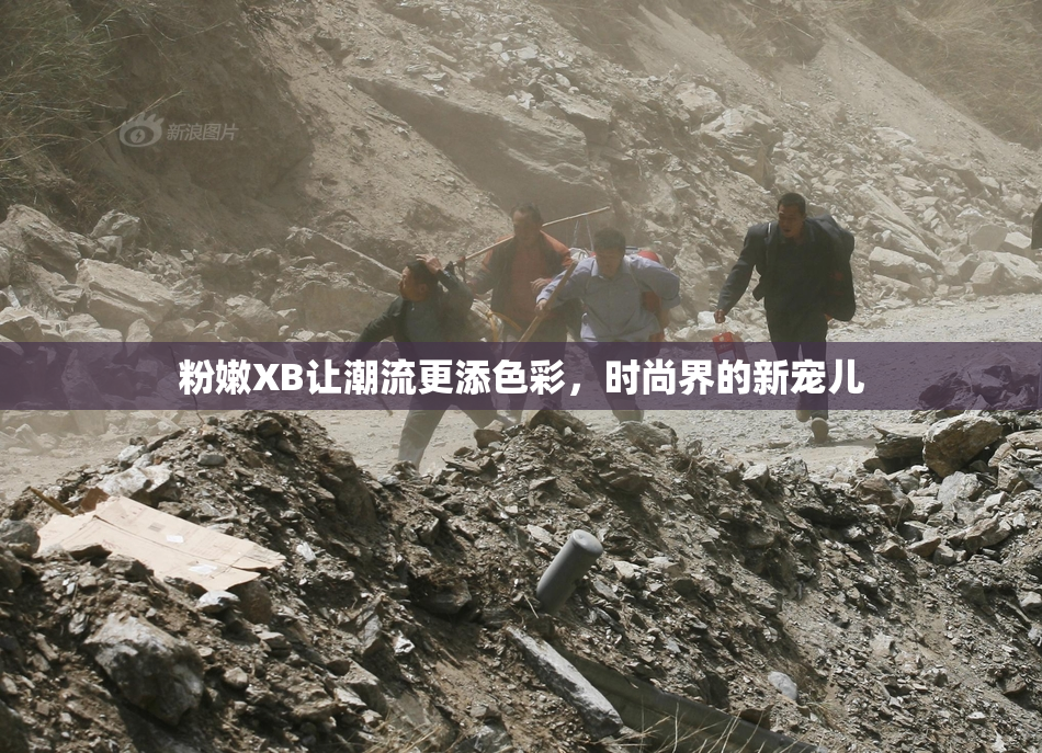 粉嫩XB让潮流更添色彩，时尚界的新宠儿