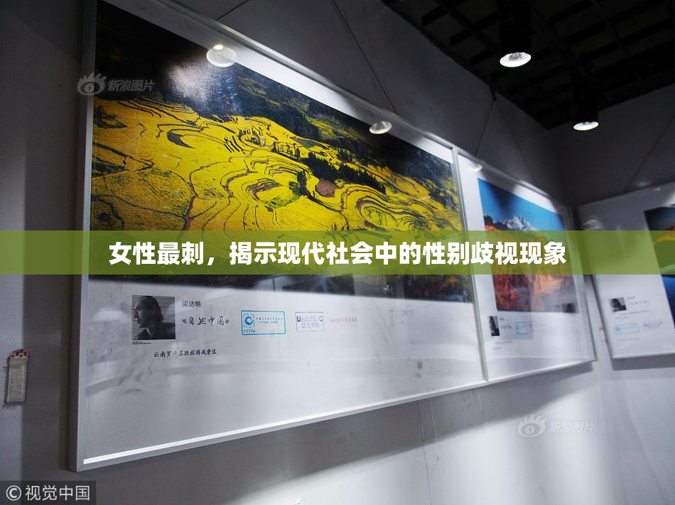 女性最刺，揭示现代社会中的性别歧视现象
