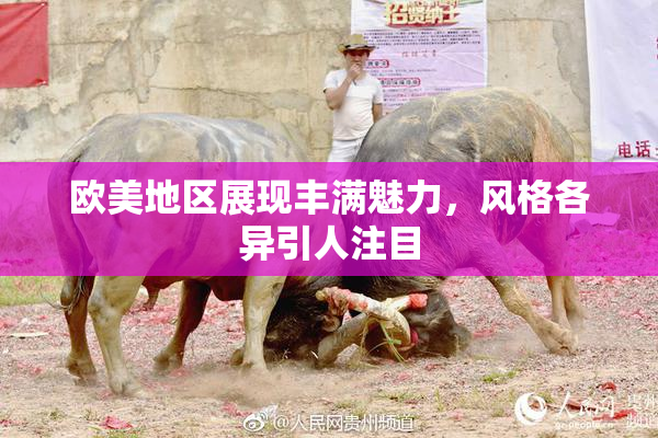欧美地区展现丰满魅力，风格各异引人注目