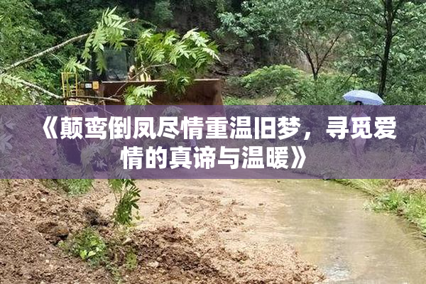 《颠鸾倒凤尽情重温旧梦，寻觅爱情的真谛与温暖》
