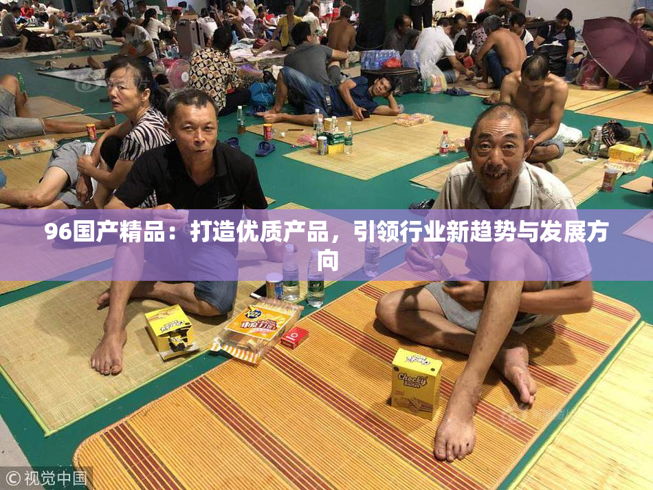 96国产精品：打造优质产品，引领行业新趋势与发展方向