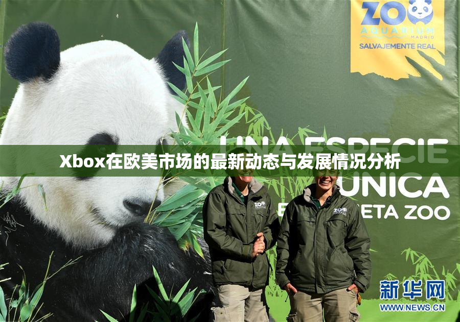 Xbox在欧美市场的最新动态与发展情况分析
