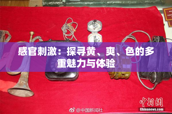 感官刺激：探寻黄、爽、色的多重魅力与体验