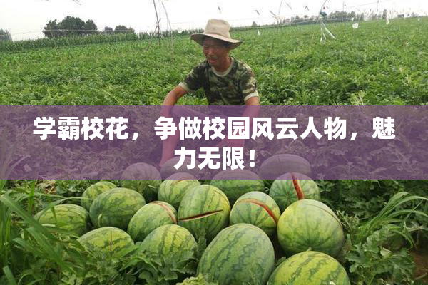 学霸校花，争做校园风云人物，魅力无限！