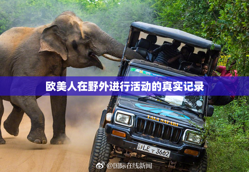 欧美人在野外进行活动的真实记录