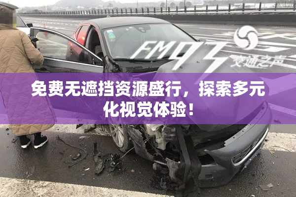 免费无遮挡资源盛行，探索多元化视觉体验！