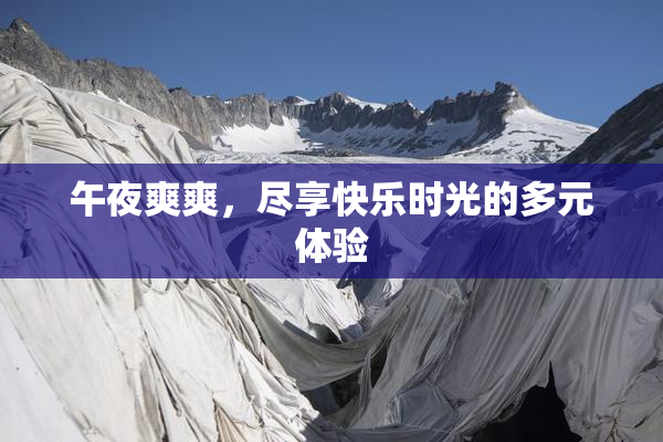 午夜爽爽，尽享快乐时光的多元体验