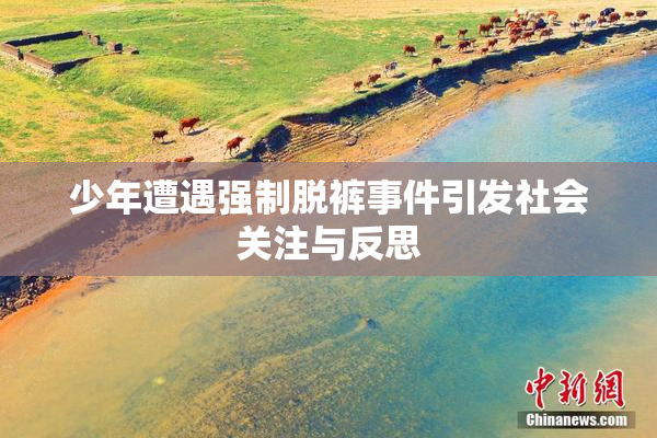 少年遭遇强制脱裤事件引发社会关注与反思