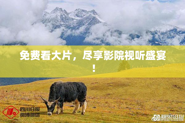 免费看大片，尽享影院视听盛宴！