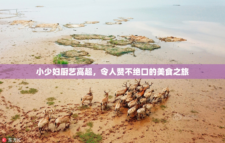 小少妇厨艺高超，令人赞不绝口的美食之旅