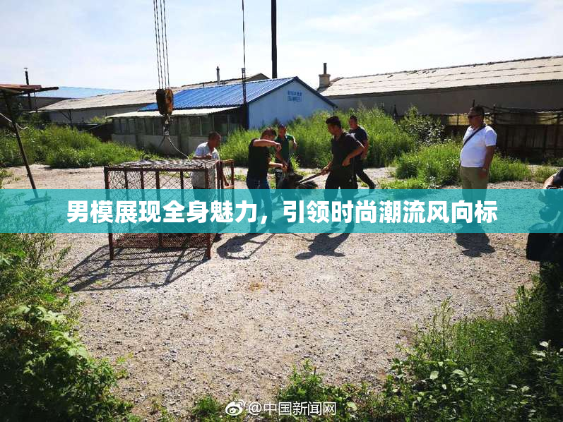 男模展现全身魅力，引领时尚潮流风向标