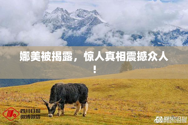 娜美被揭露，惊人真相震撼众人!