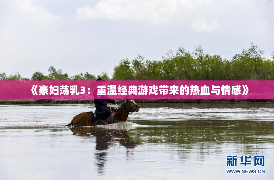 《豪妇荡乳3：重温经典游戏带来的热血与情感》